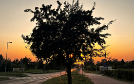 Kornelia Tomaszczyk lat 9