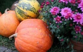 IMG_4149_www