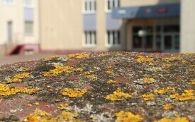 3. Szacowne mury Krystian Gabis