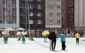 IMG_5717