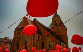 IMG_9935_www