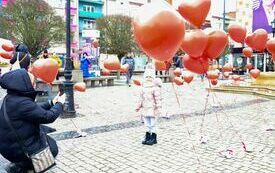 IMG_0105_www