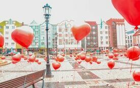 IMG_0053-2_www