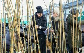 IMG_0952_www