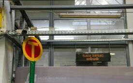 IMG_1053_www