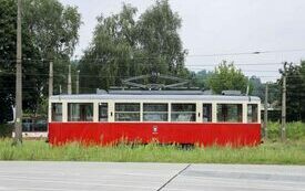 IMG_2966-1_Easy-Resize.com