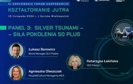 panel 3 silversi