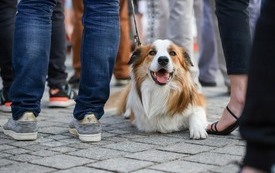 IMG_0286-2