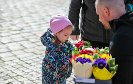 IMG_4603_www