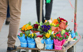 IMG_4582_www