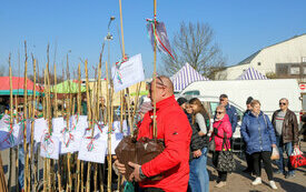 IMG_4413_www