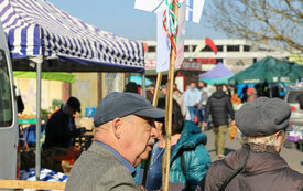 IMG_4399_www