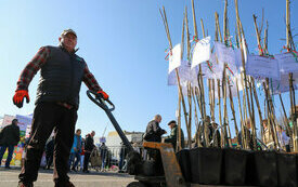 IMG_4384_www