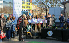 IMG_4366_www