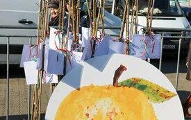 IMG_4361_www