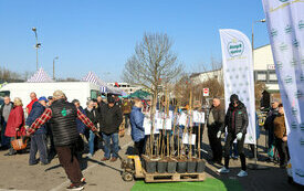 IMG_4354_www