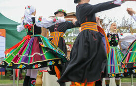 IMG_5329_www