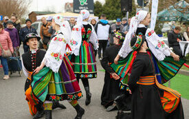 IMG_5364_www