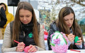 IMG_5291_www