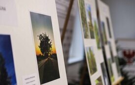 IMG_9481-2