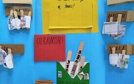B.Wyr&oacute;żnienie F.Stechnij