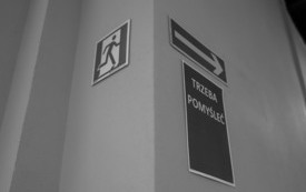 IMG_6306-3