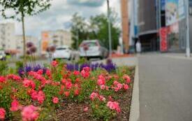 IMG-20260609-WA0015