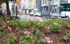 IMG_0276_www