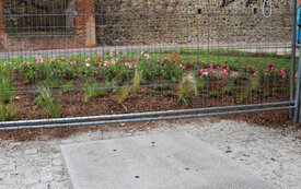 IMG_0265_www