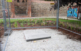 IMG_0261_www