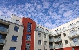 IMG_0555
