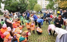 IMG_3705