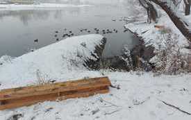 IMG-20211210-WA0005