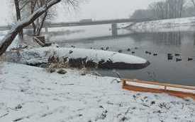 IMG-20211210-WA0002