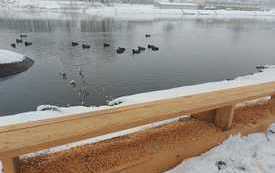 IMG-20211210-WA0001