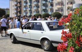 IMG_8596-18