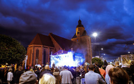 IMG_2470 (1)