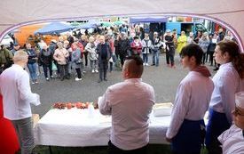 IMG_5237_www