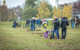 20221109-IMG_6567-Lukasz.Kulczynski