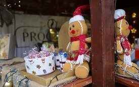 IMG_7631-1