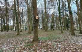 20230328_103636_Easy-Resize.com