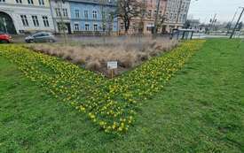 20230330_111040_Easy-Resize.com