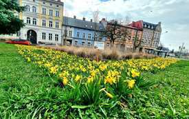 20230330_111048_Easy-Resize.com