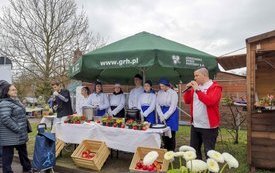 IMG_20230331_091620-1