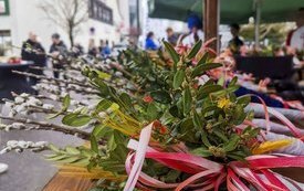 IMG_20230331_090238-1