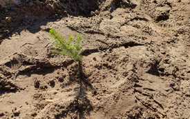 20230428_094327_Easy-Resize.com