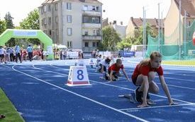 IMG_5231-1