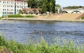 IMG_5532-19