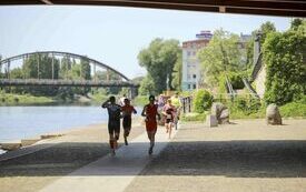 IMG_6060-203