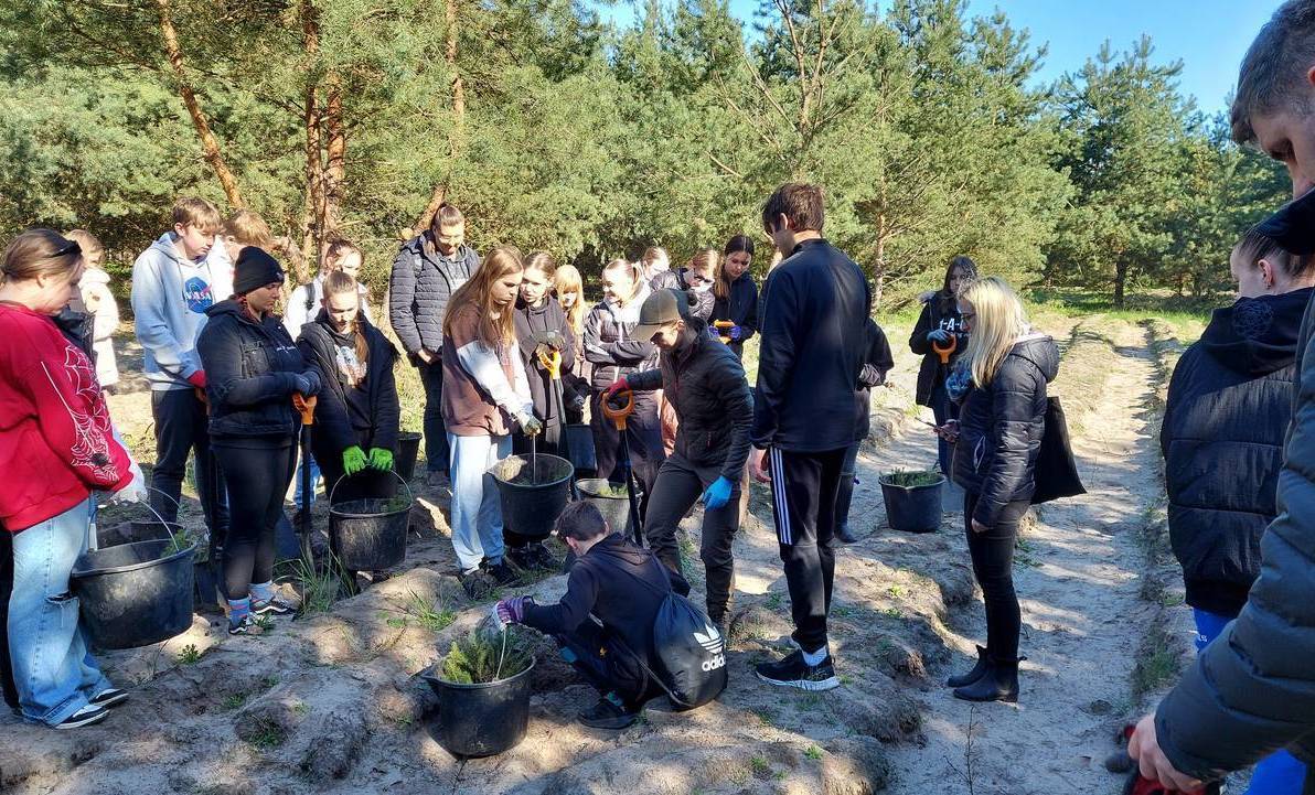 Zdjęcie do Uczniowie Ogrodnika zasadzili 1000 drzew